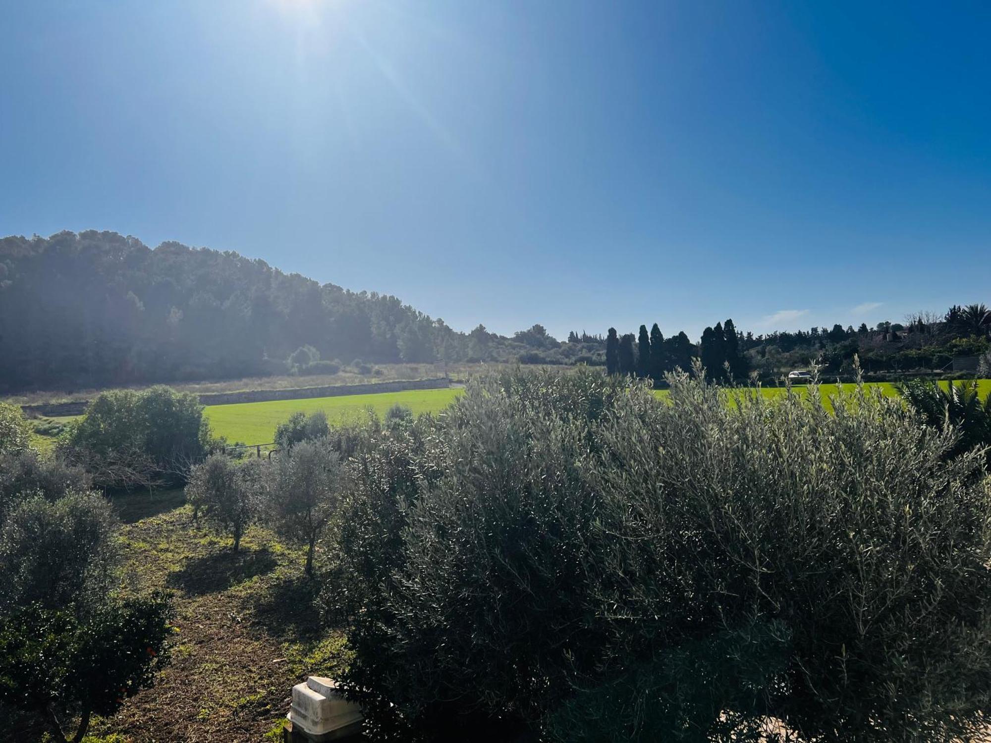 Es Puig Vila Santa Margalida Exterior foto